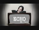 【紫月ゆな*】ECHO【踊ってみた】