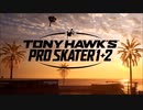 Goldfinger Feat. THPS - Safe 'N' Sane Skater Heaven Superman (Master Mi Remix)