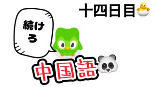 【Duolingo】第十四回 100日後に中国語ペラペラになる編　十四日目