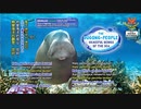 ジュゴンの民　海の優美な生き物