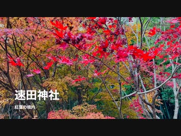 広島県の神社巡り 〜間もなく冬へ変わる〜晩秋の【速田神社】広島県廿日市市