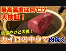 【低温火傷に注意】カイロの中身で肉を焼いたら、まさかの結果に！