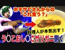 ホモサピが捕獲したウチダザリガニ捌いてみた