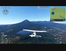 Microsoft Flight Simulator