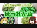 【ゆっくり解説】ほうれん草の栄養について解説！