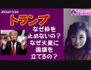 【トランプ】についての質問コメントにこたえました～コメントありがとうございます！
