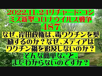 【2022年11月24日：リチャード・コシミズ Internet 講演 （ ニコニコ生放送 ）（ 改良版 ）】