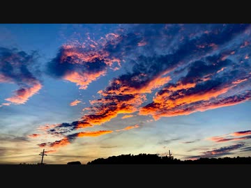 【オリジナル曲】「空白嫌悪」feat.IA MV【ただのP】