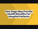 14_How Dogs May Provide Health Benefits For Hospital Patients