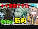 【MTGアリーナ】春日部つむぎのラダーデッキ紹介【ナヤアグロ】【兄弟戦争】