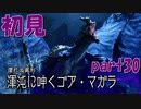 モンハン人生引退の危機サンブレイク【part30】