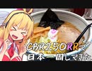 【新潟～秋田】CBR250RR(MC22)でほぼ日本一周してきた【43～45日目】