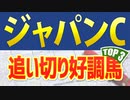 【ジャパンカップ2022】追い切り・調教が高評価だった3頭は？【ジャパンC予想】