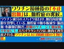 【2021年05月27日：リチャード・コシミズ Internet 講演（ 改良版 ）】