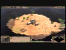 【AOE2DE】30即城解説
