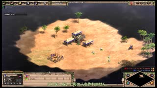 【AOE2DE】30即城解説