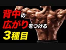 【筋トレ】背中の広がりを効率よくつける3種目 | 現役ボディビルダーが解説【ビーレジェンド プロテイン】【ビーレジェンド プロテイン】
