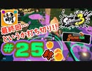 (唐突ですが最終回です)【鮭走次波】相棒とSplatoon3(スプラトゥーン3) サーモンラン NEXT WAVEをゆたぁ～りと… #25(終)[萌黄鮭]