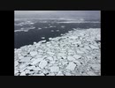 【NNIオリジナル】Floe