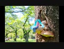 VOCALOID figmaの祭典！第３回figmasterの展覧会【#ふぃぐます会】
