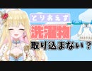 洗濯物が気になってしょうがないホラーゲーム実況【桜鳥ミーナ/VEE切り抜き】