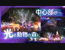 ビル中の森ｘ動物ｘイルミで福岡市中心部の“夜景”が変わった