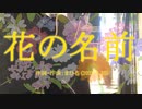 今日のまひるさん 『花の名前』（ニコ生弾き語り）