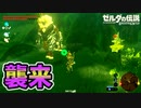 燃えずワープとヴォーイ判定どっちが強い？【ブレワイ BotW】裏技 バグ 検証 ゆっくり実況 glitch