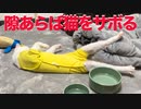 珍妙ウチューネコ、暖をとりつつ猫をサボる