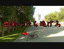 【ゆっくり解説】出会ったら逃げろ！SNSに投稿された謎の映像4選【UMA】【心霊】