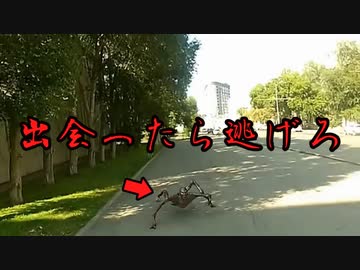 【ゆっくり解説】出会ったら逃げろ！SNSに投稿された謎の映像4選【UMA】【心霊】