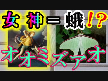 【ゆっくり解説】別名「月の蛾」オオミズアオを解説
