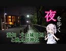 【CeVIO旅行】愛知 犬山城下町と桃太郎神社【フィーちゃん投稿祭】【夜を歩く】