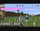 【マイクラ】エンドシップ捜索願いでてます【あおももクラフト26日目】