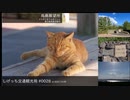 しげっち交通観光局#0028 トリシティ155で行く「烏島展望所@鹿児島県鹿児島市」/2022.10.08