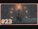 【実況】SEKIROで遊んじゃうどー Part23