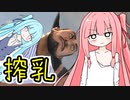 【直に牛乳を飲め】自由な葵ちゃんと乳搾り【A.I.VOICE実況】