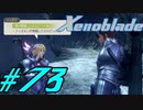 【実況】限りなく初見に近い『ゼノブレイドDE』を全力で楽しむ　#73