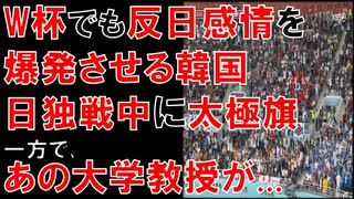 【韓国】日本の失点時に､日本の応援席から振られた韓国国旗｡一方､あの大学教授が...【時事ニュース解説】