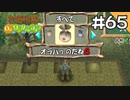 【実況】牧場物語Oh!ワンダフルライフを遊ぶいも#65