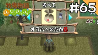 【実況】牧場物語Oh!ワンダフルライフを遊ぶいも#65
