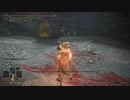 【ELDEN RING実況】vs狂った闘士 part160