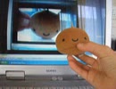 温泉まんじゅうくん 撮影年月日：2007年4月～5月