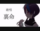 めまい/紅林アオ feat.裏命