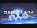 [ジム4　みずジム]野生ポケモン捕獲レベル縛り[ポケモンSV　つくよみちゃん実況]