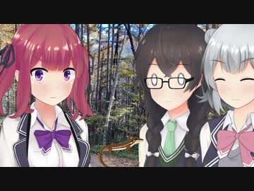 【cevio劇場】千冬「紅葉を見るつもりだったのに、ほとんど落ちてしまっていますね」