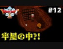 #12 【ドラゴンクエストⅩオフライン】いざ！グレン城！【目覚めし五つの種族】※ネタバレ注意