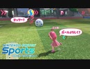 SwitchSportsのサッカーはマジ楽しい ２０ ～言葉はなくても～【VOICEROID実況】