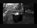 【NNIオリジナル】Black Box