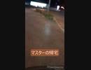 マスターの帰宅